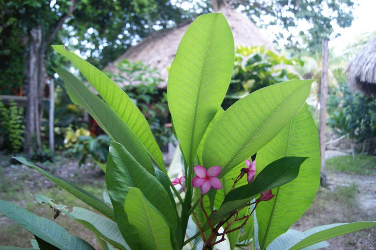 Hotel Pancho Villas Bacalar - Free Bikes And Paddles المظهر الخارجي الصورة